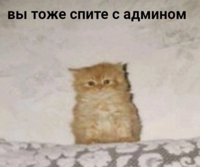 {TEXT?}