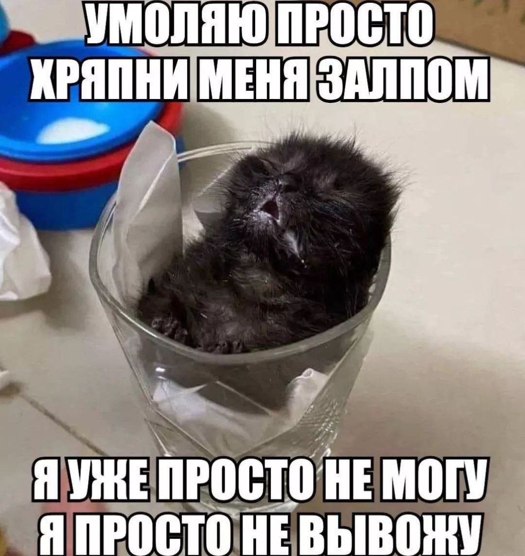 {TEXT?}