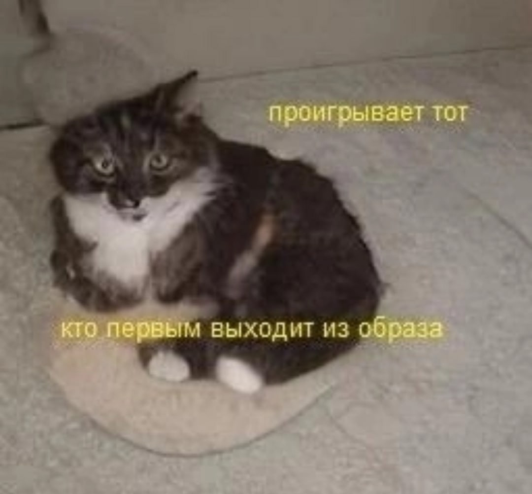 {TEXT?}