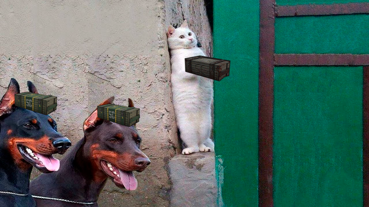 {TEXT?}