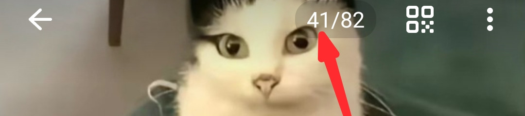 {TEXT?}
