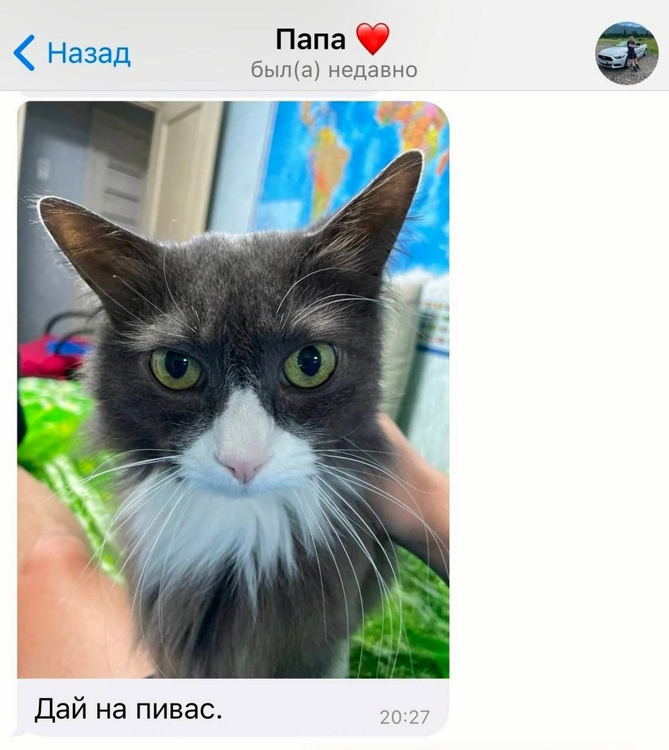 {TEXT?}