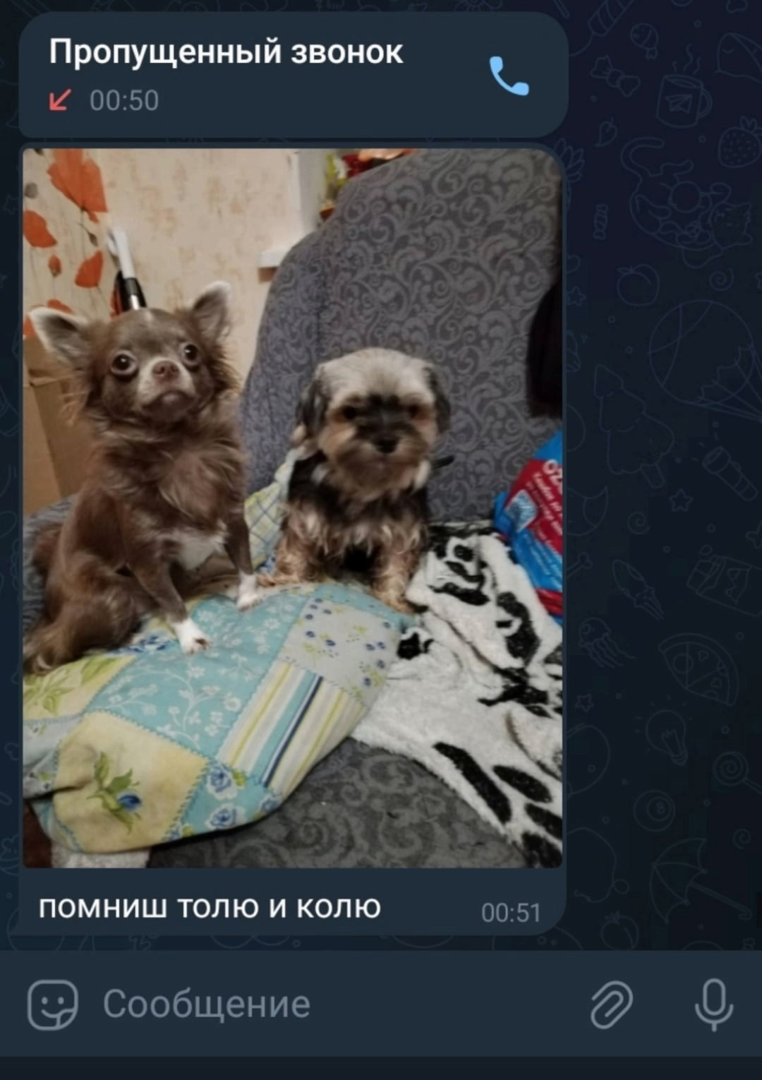 {TEXT?}