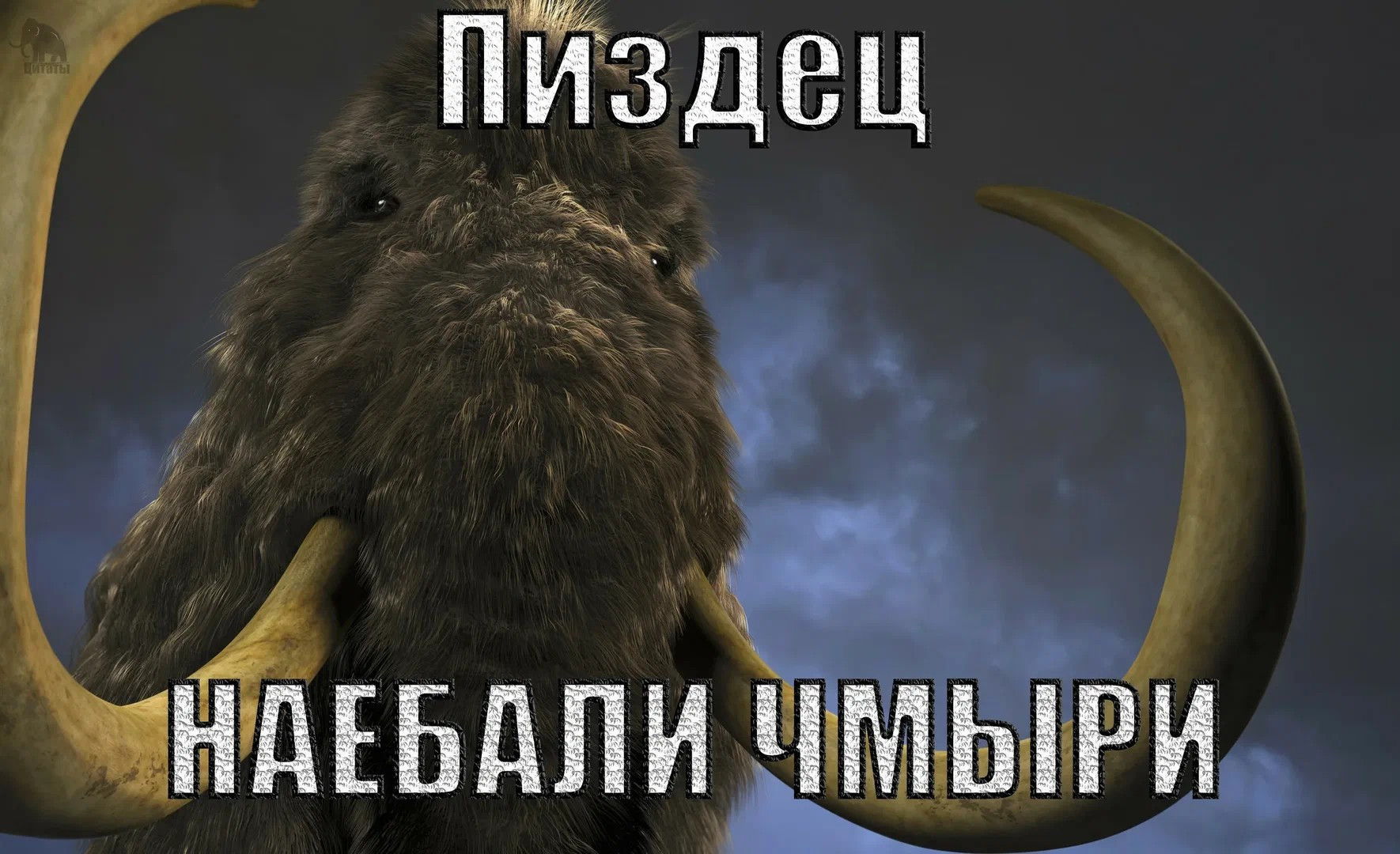 {TEXT?}