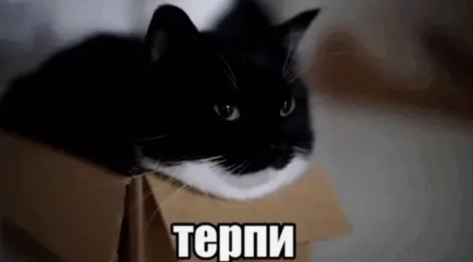 {TEXT?}