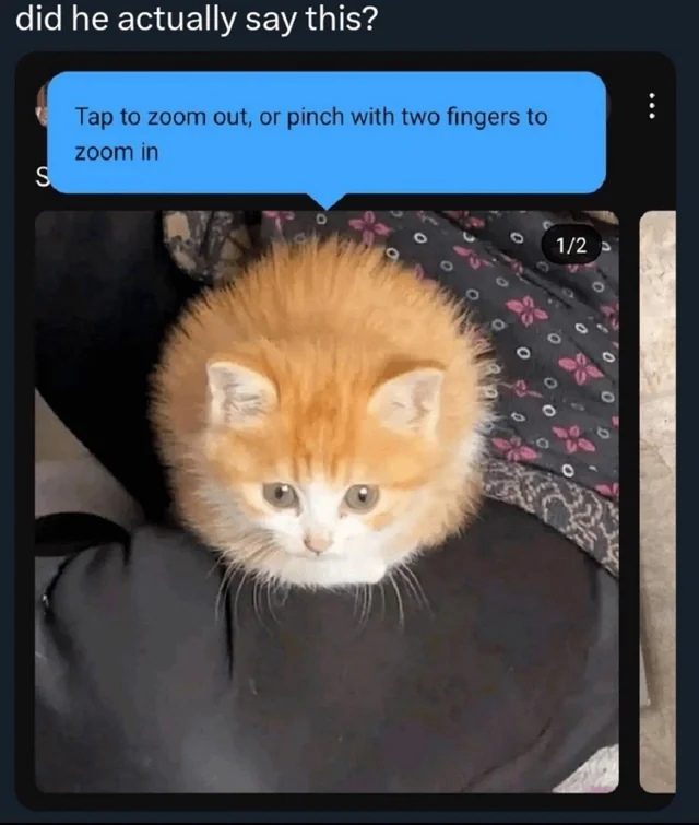 {TEXT?}