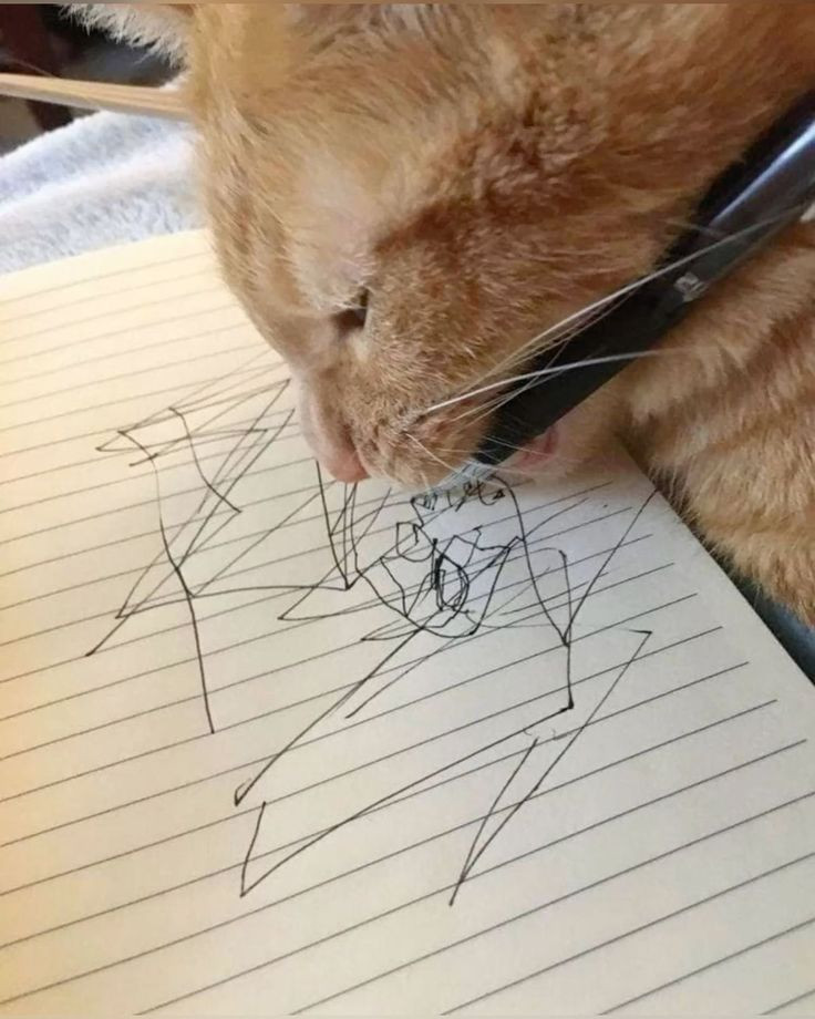 {TEXT?}