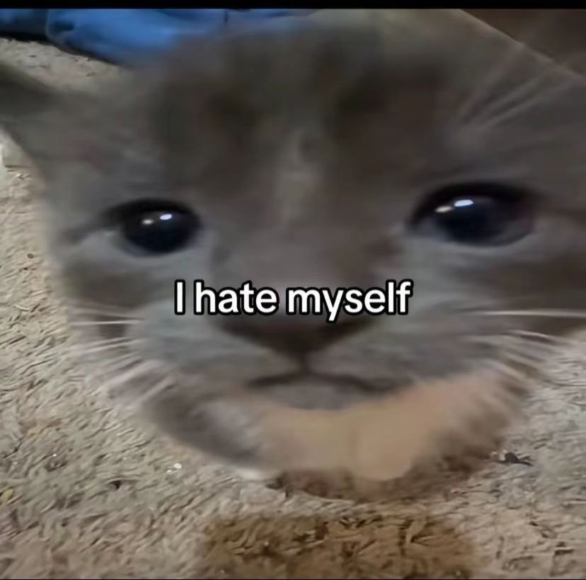 {TEXT?}
