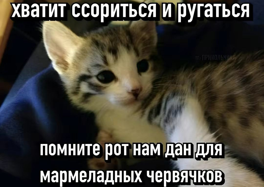{TEXT?}