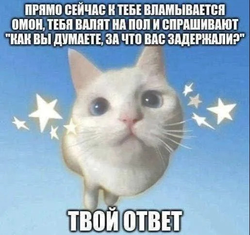 {TEXT?}