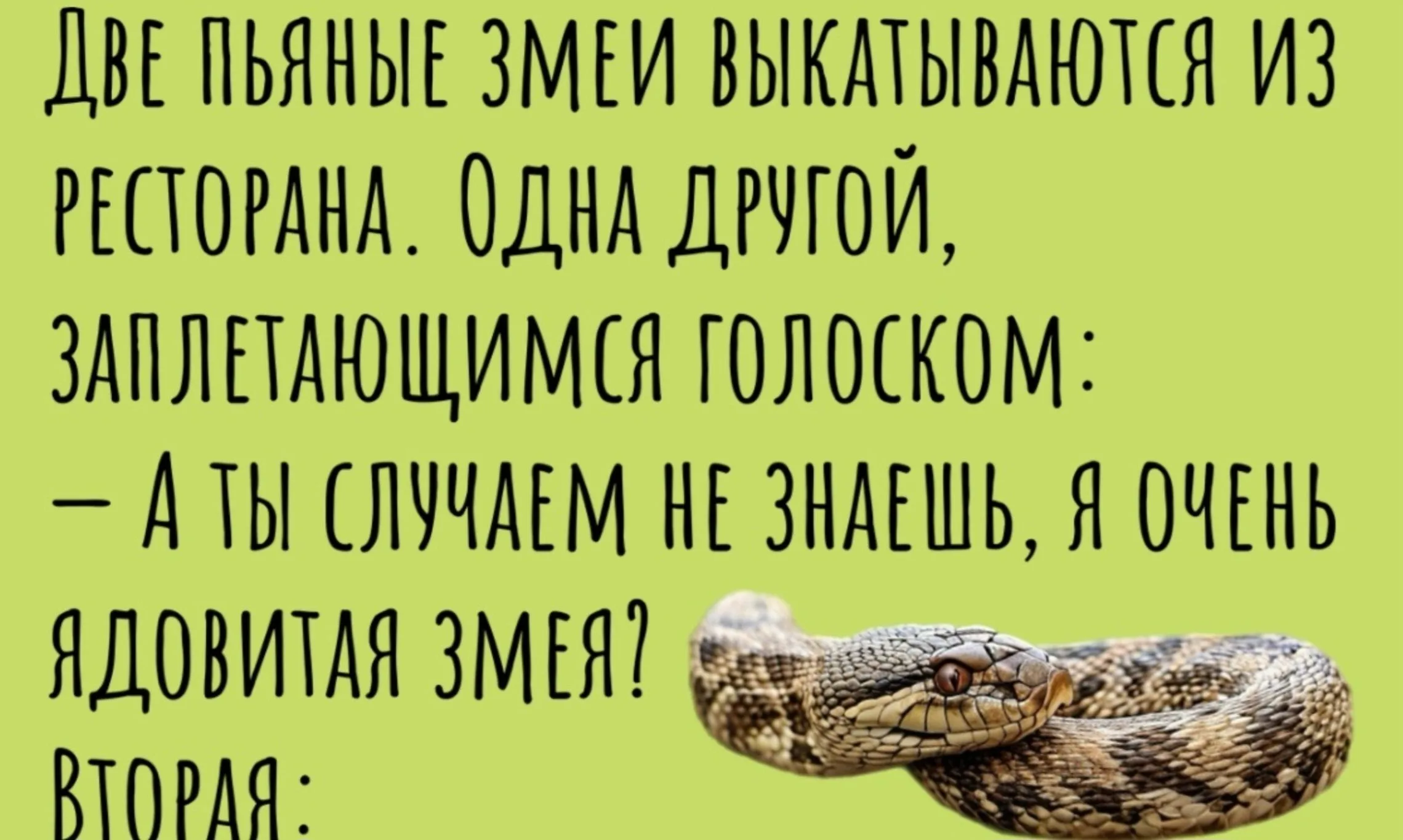 {TEXT?}