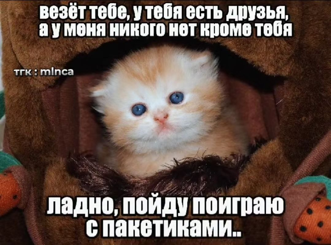 {TEXT?}