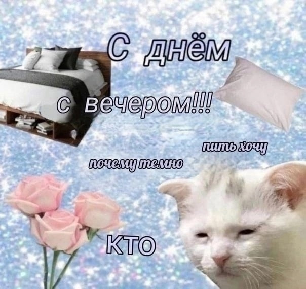 {TEXT?}