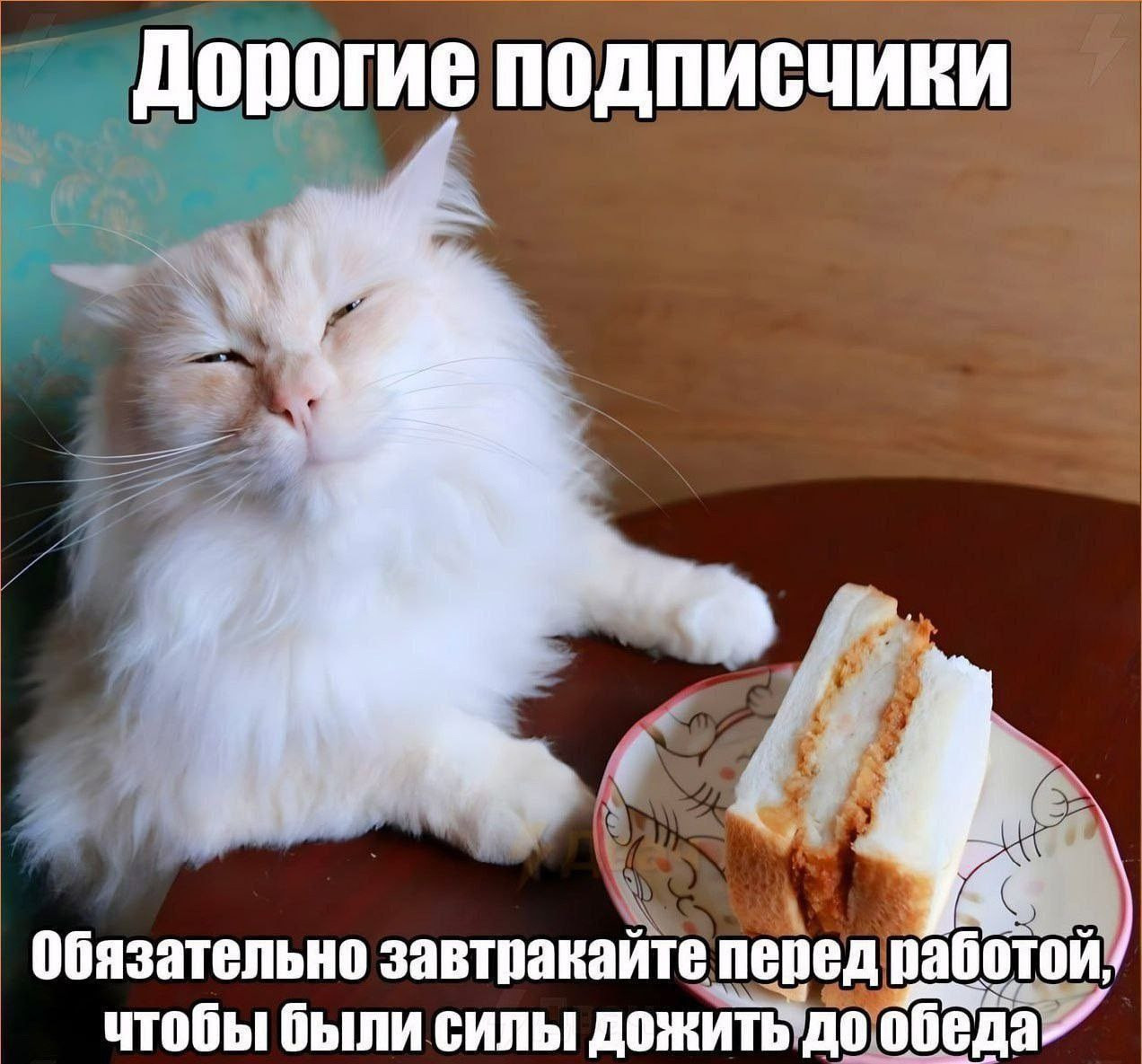 {TEXT?}