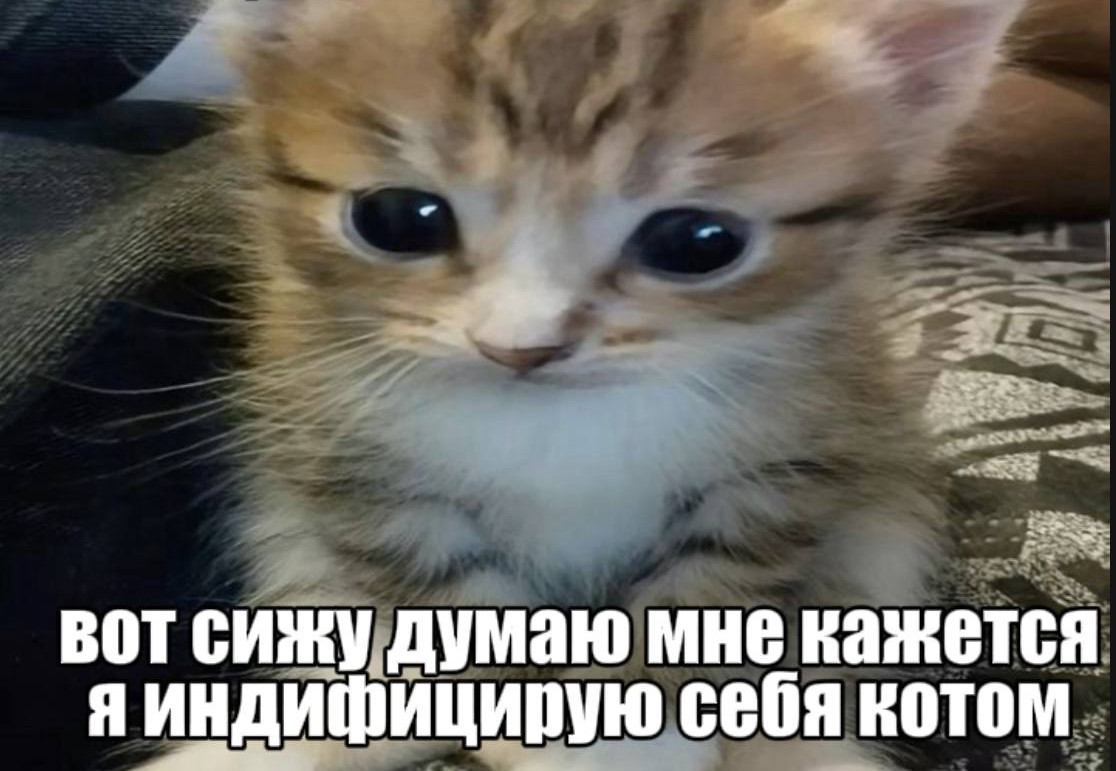 {TEXT?}