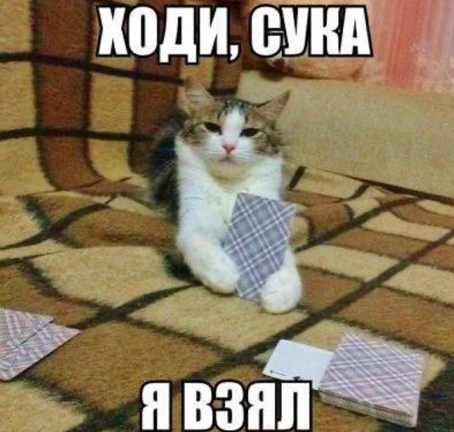 {TEXT?}