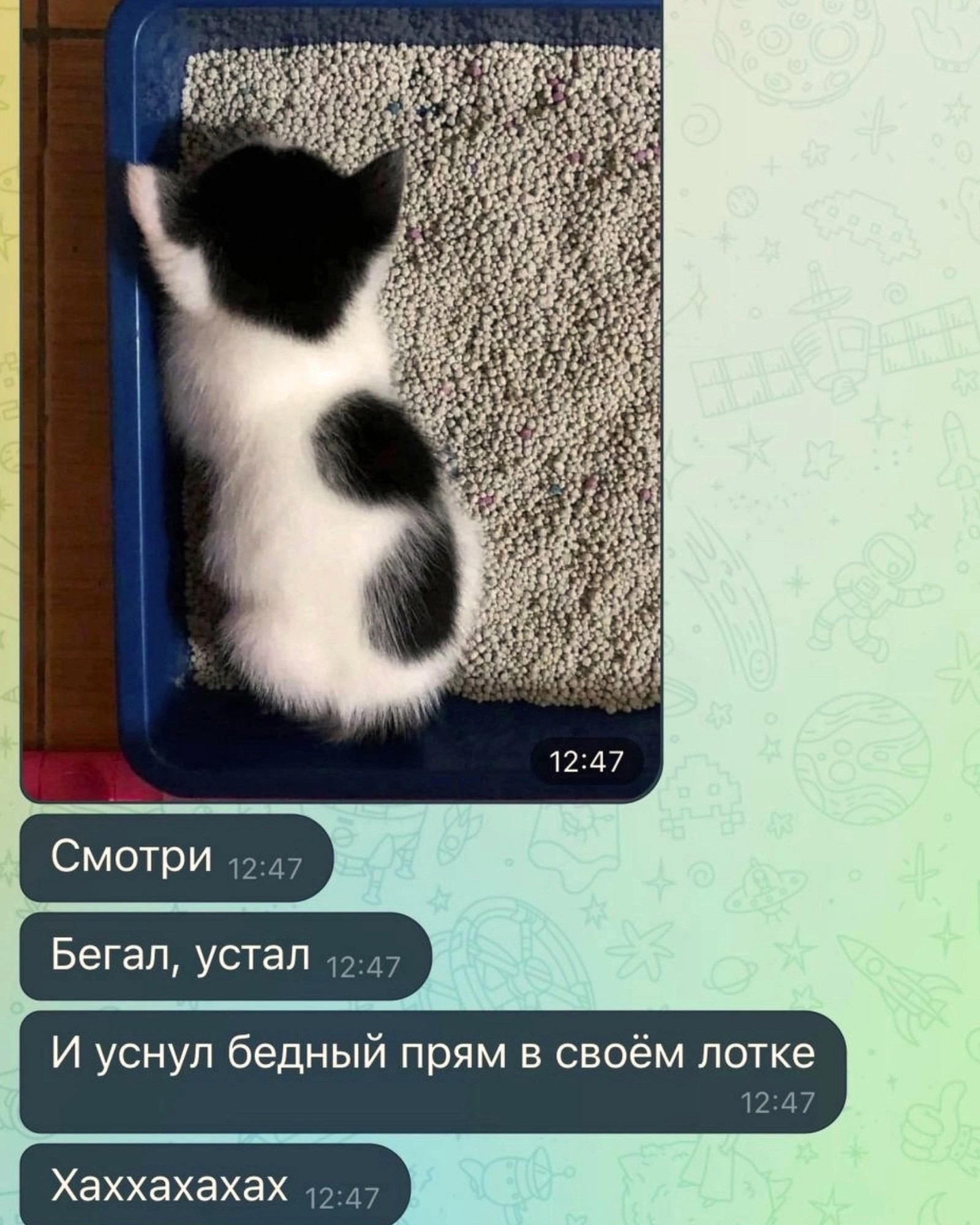 {TEXT?}
