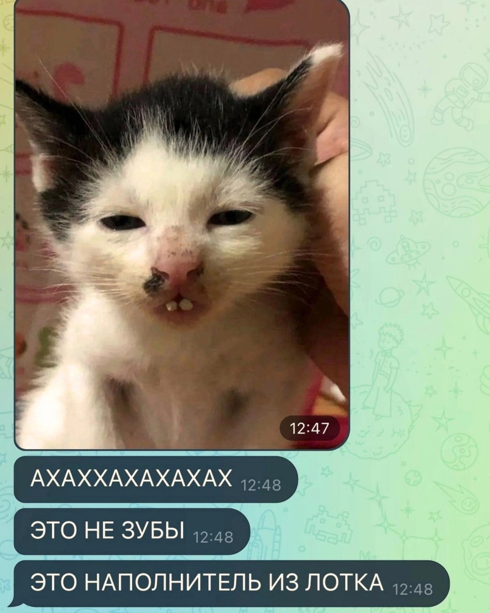 {TEXT?}