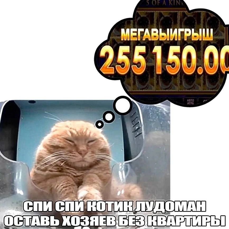 {TEXT?}