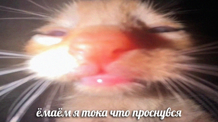 {TEXT?}