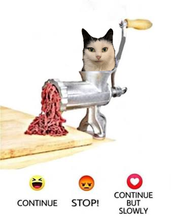 {TEXT?}