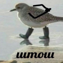 {TEXT?}