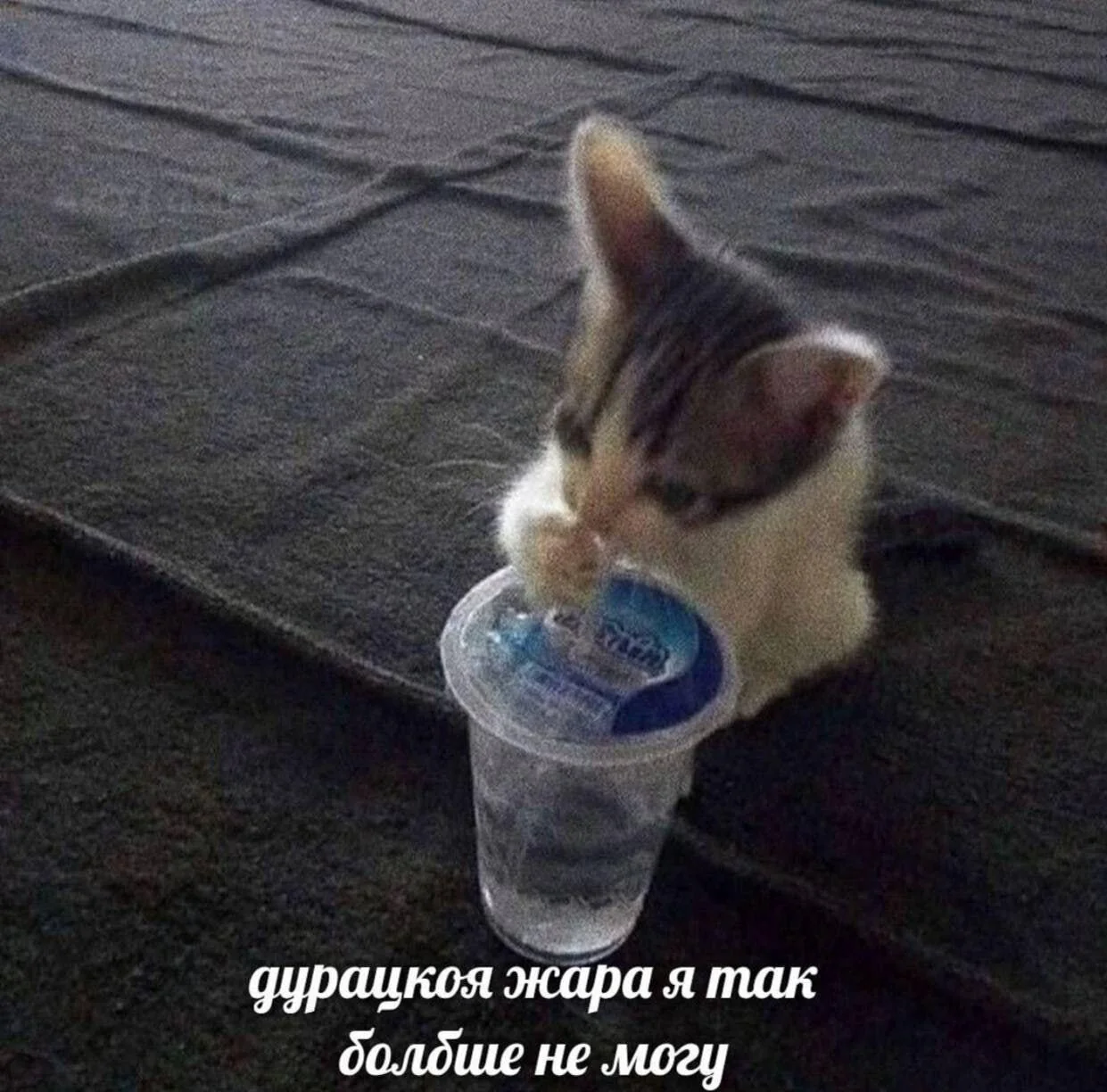 {TEXT?}