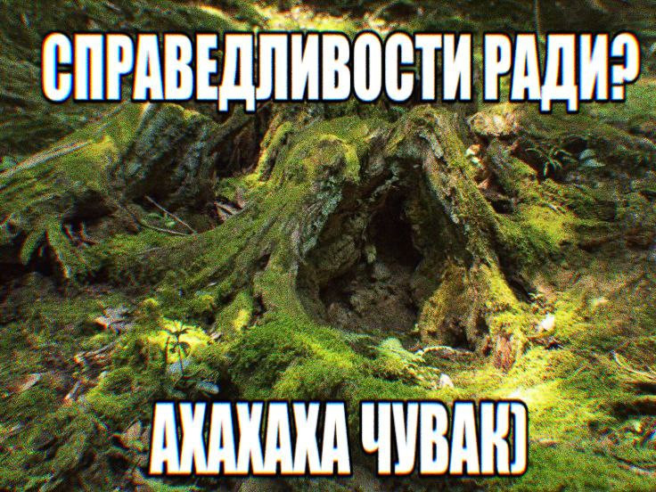{TEXT?}