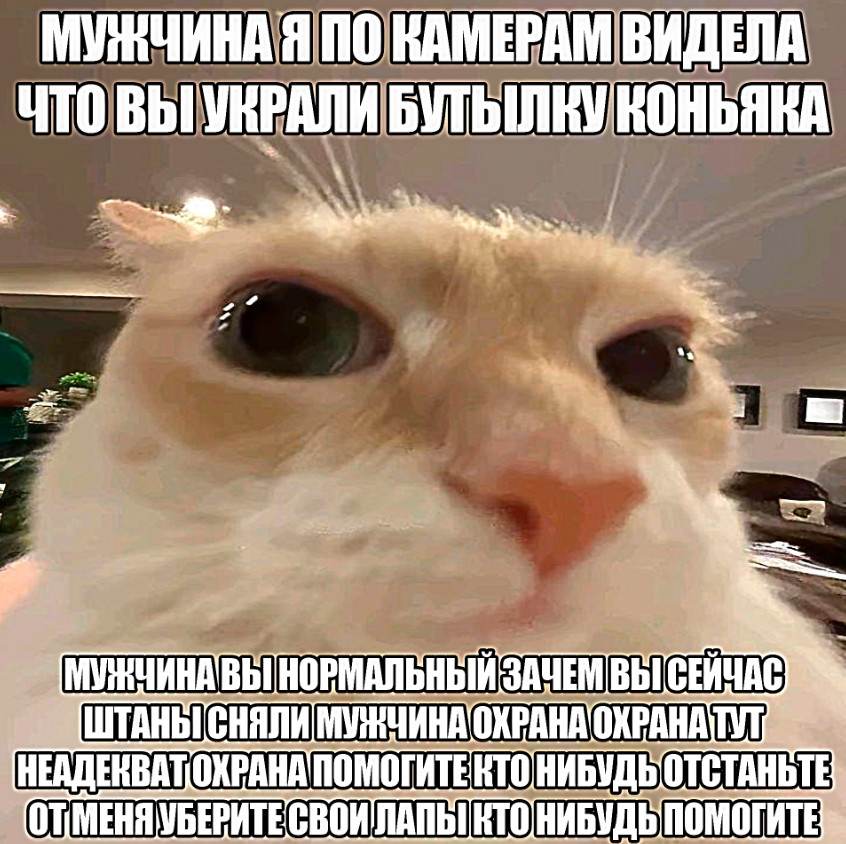 {TEXT?}
