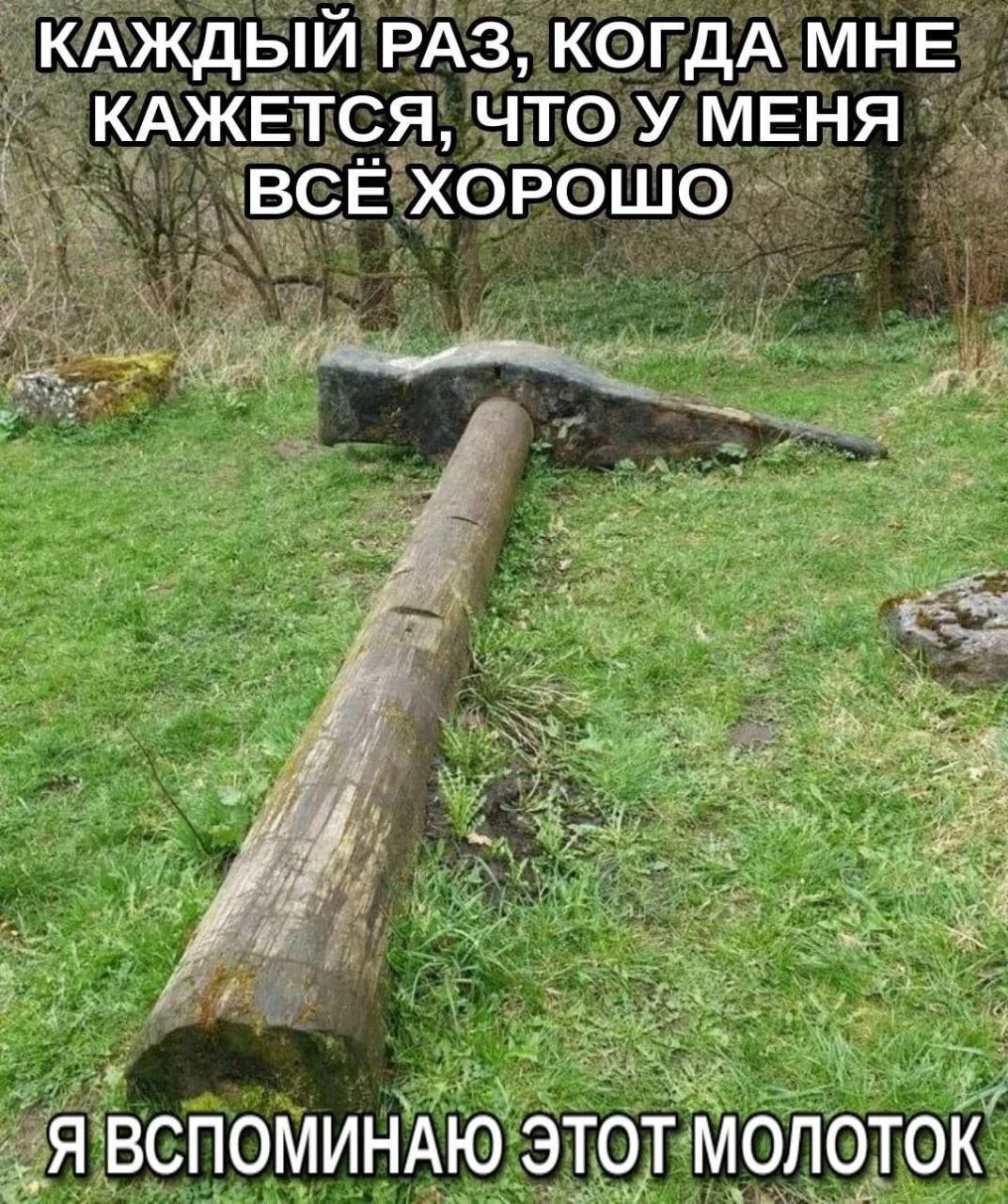 {TEXT?}