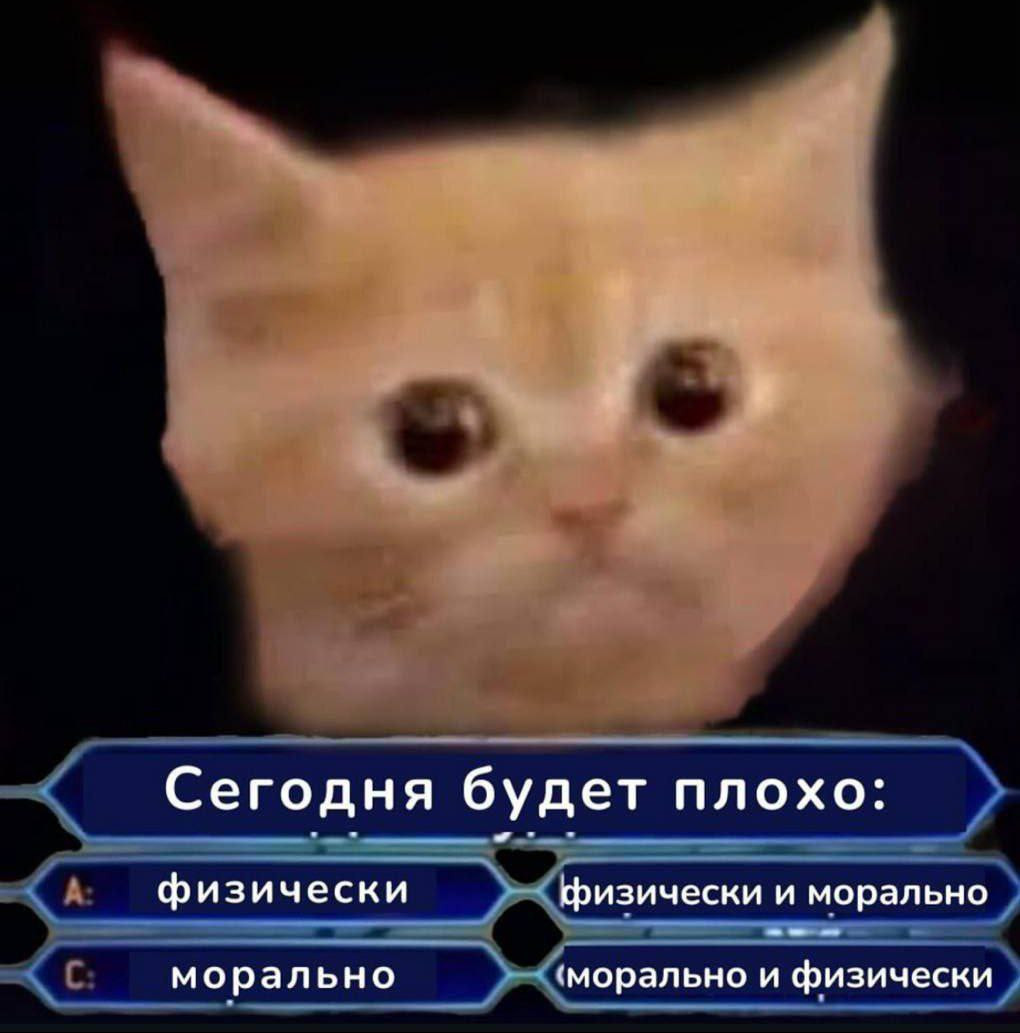 {TEXT?}