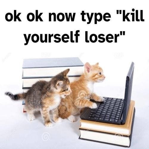 {TEXT?}