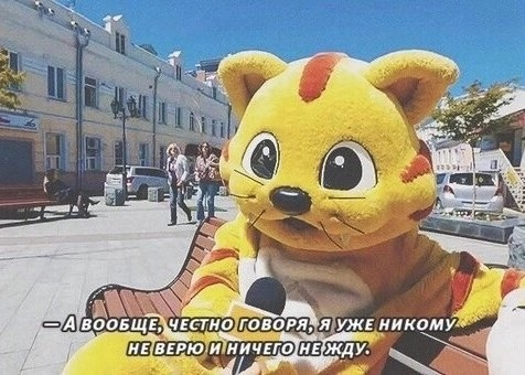 {TEXT?}