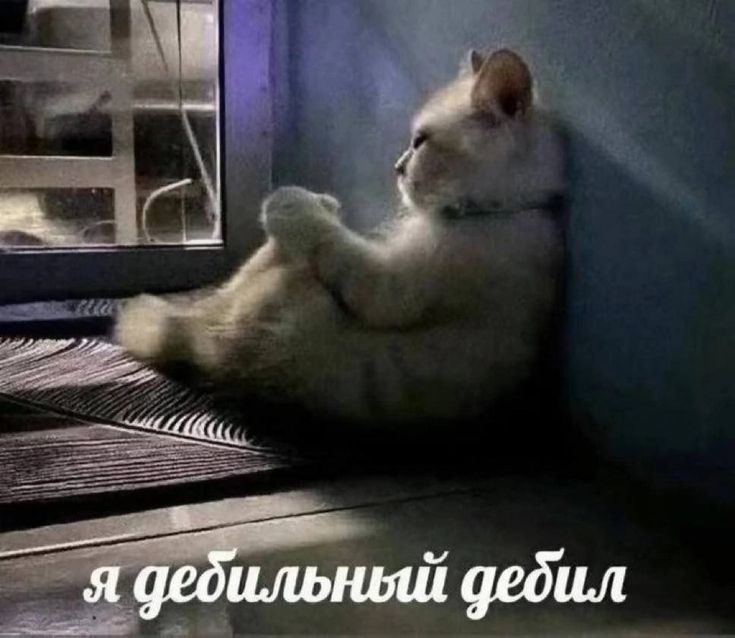 {TEXT?}