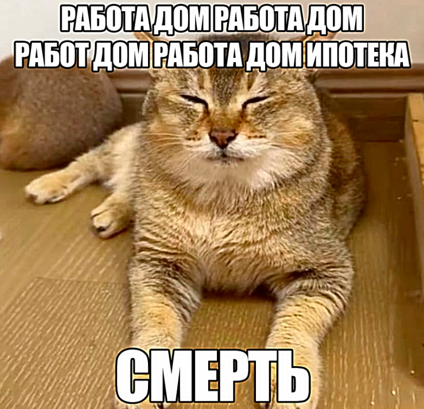 {TEXT?}