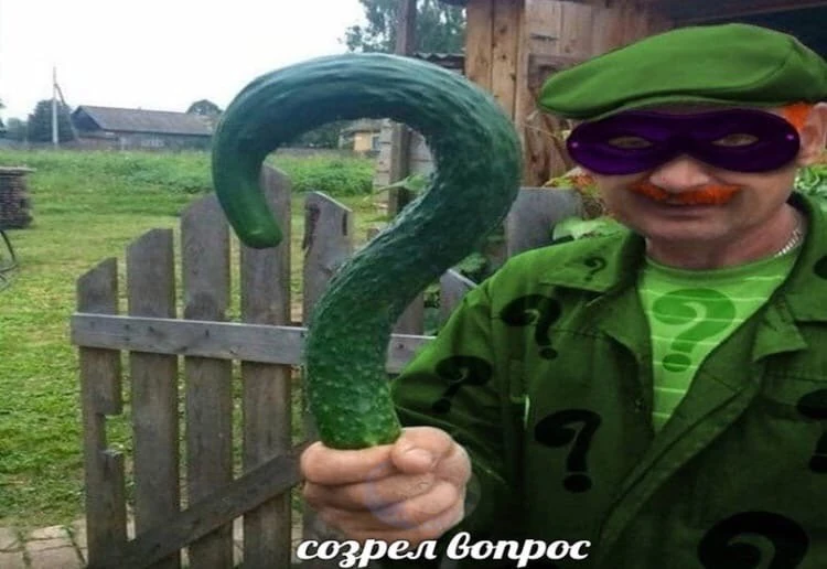 {TEXT?}