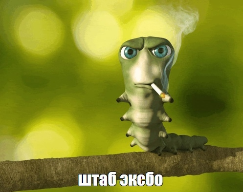 {TEXT?}