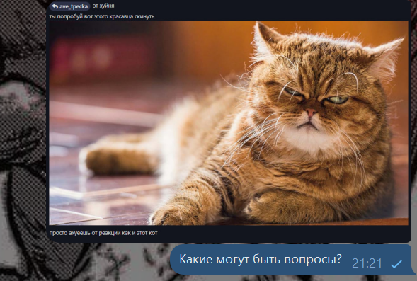 {TEXT?}