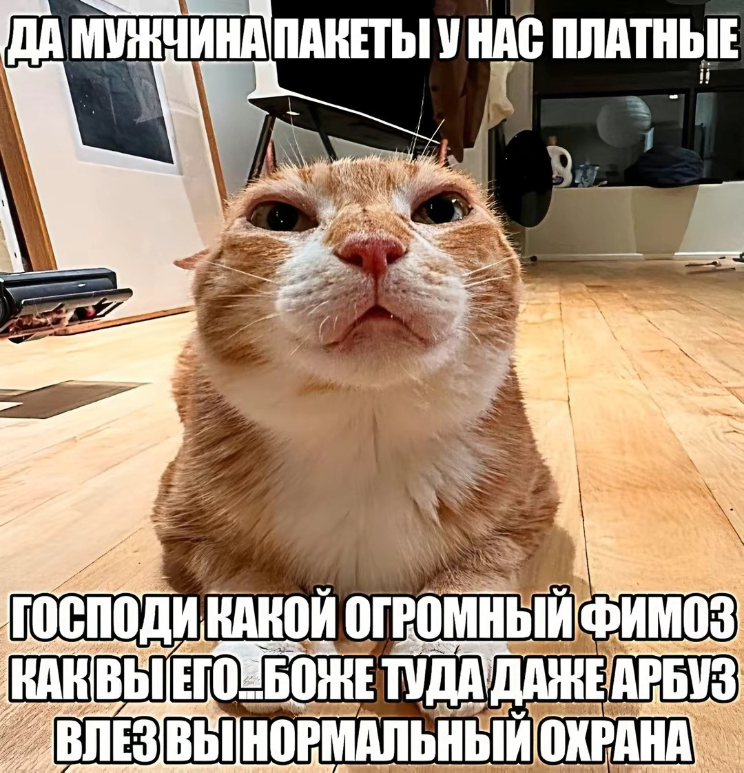 {TEXT?}