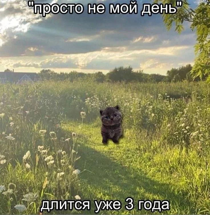 {TEXT?}