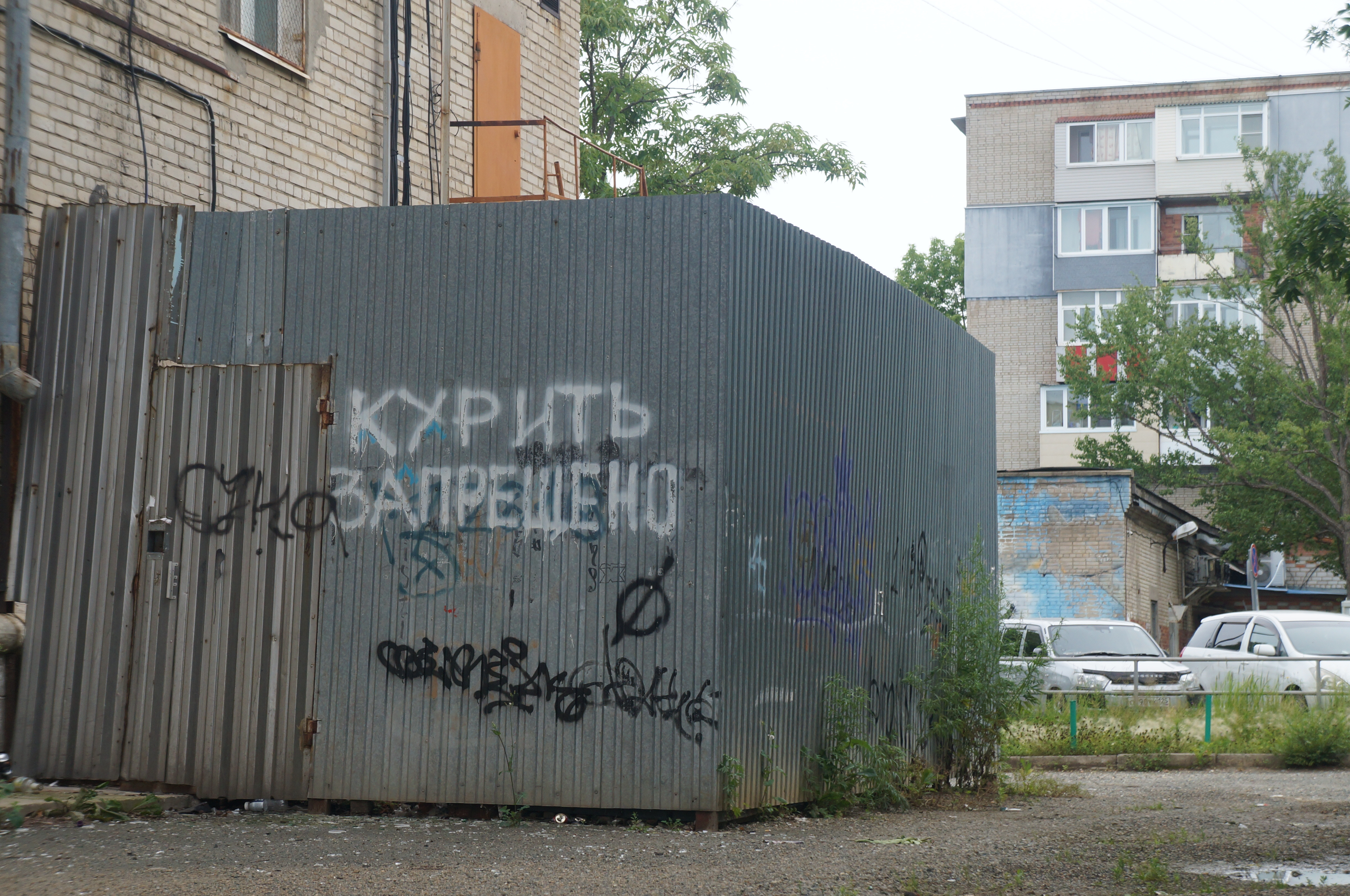 {TEXT?}