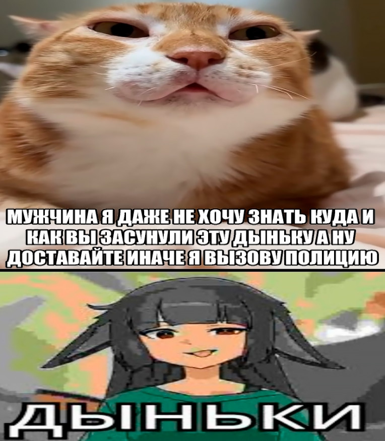 {TEXT?}