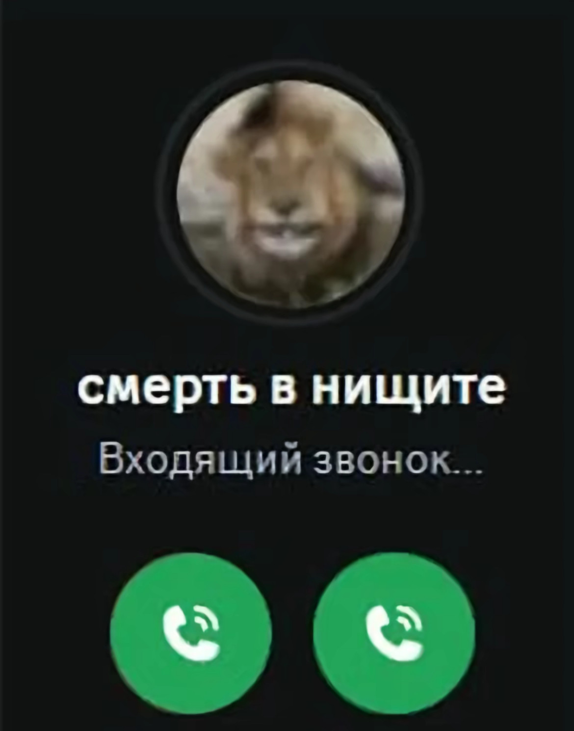 {TEXT?}