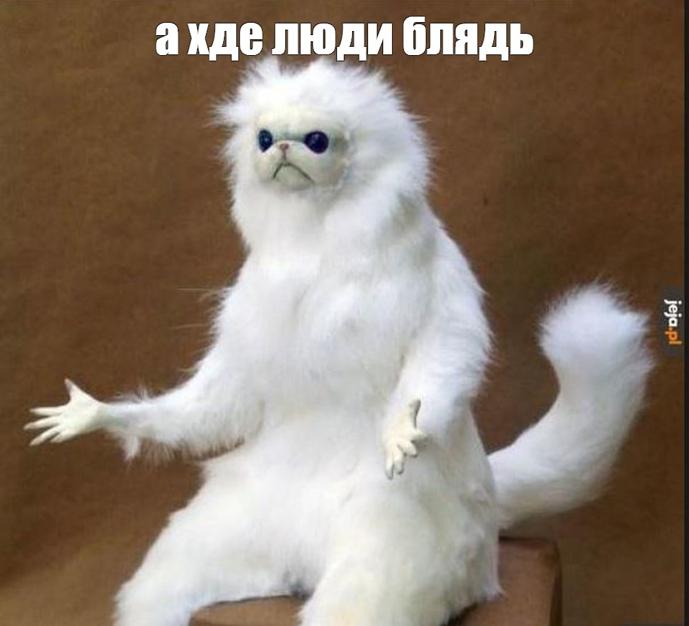 {TEXT?}