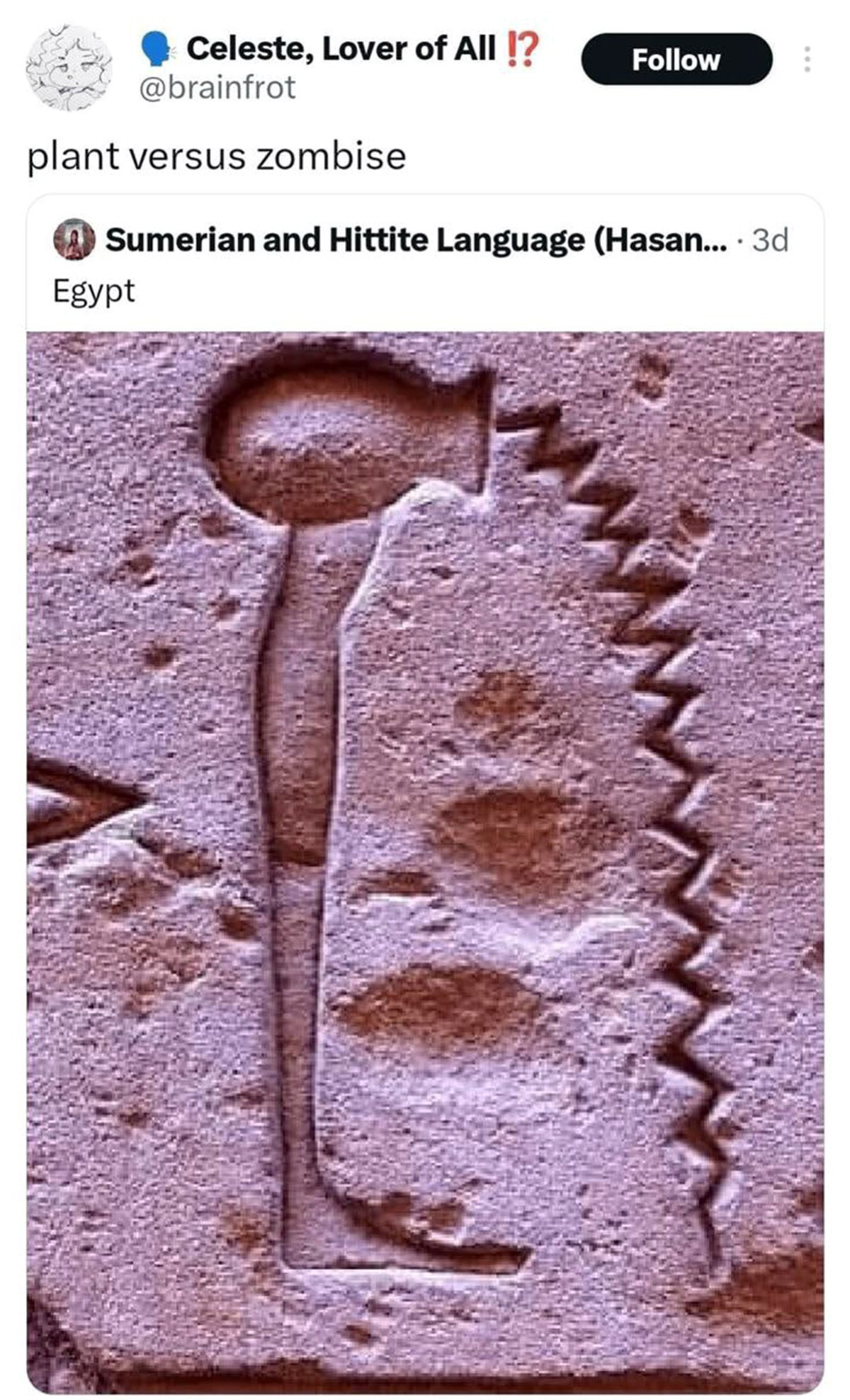 {TEXT?}