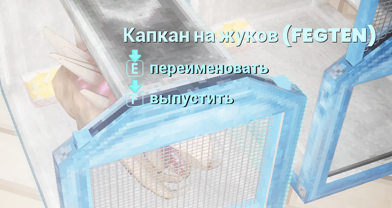 {TEXT?}