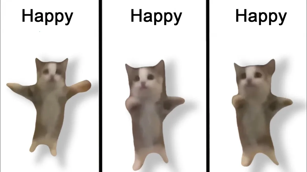 {TEXT?}