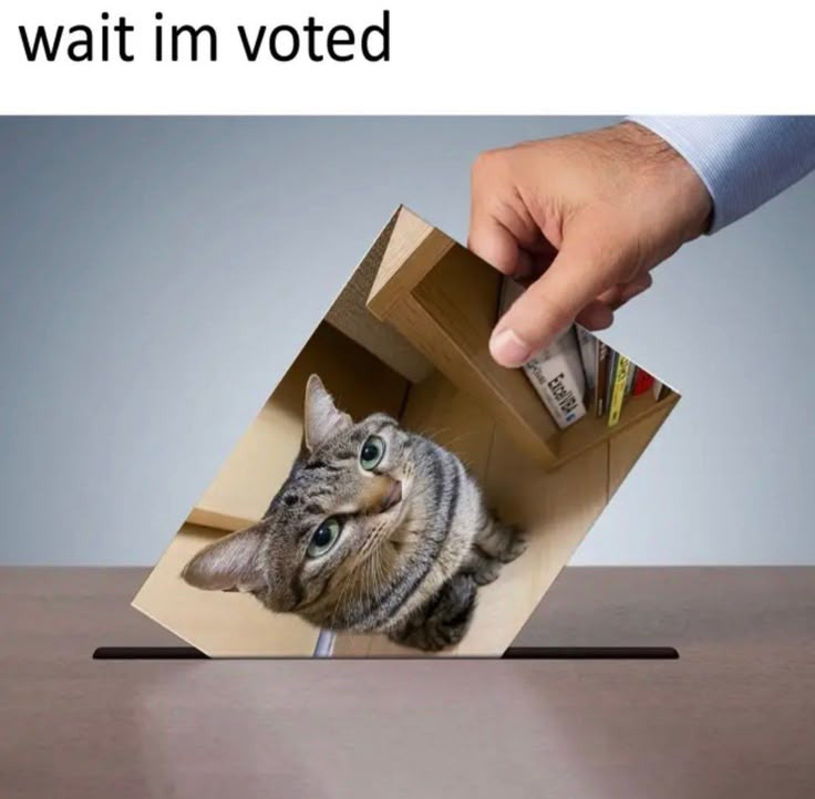 {TEXT?}