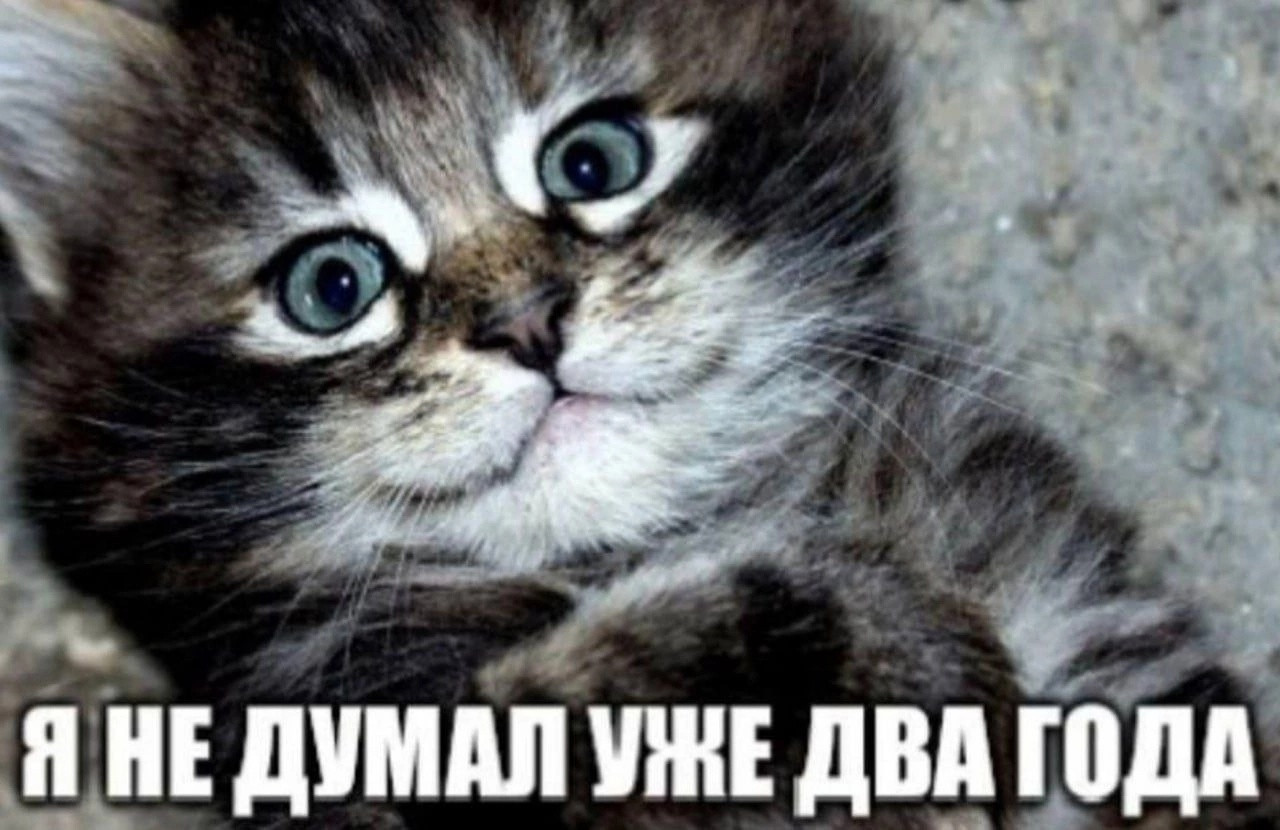 {TEXT?}