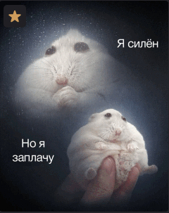 {TEXT?}